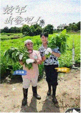 影视培训班综艺编导方向学员作品海报